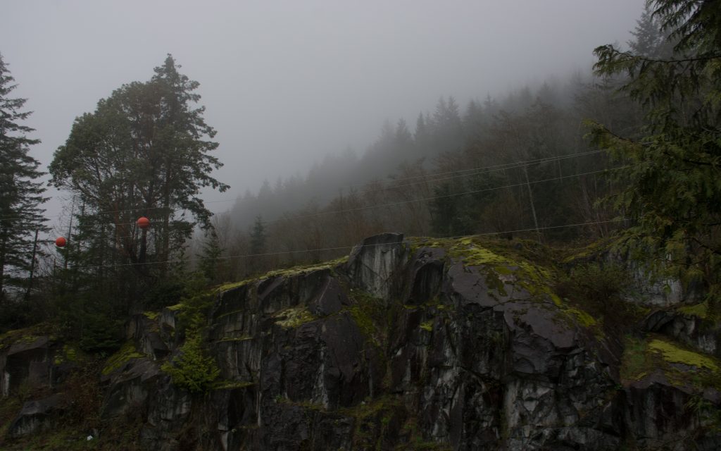 Adventure - British Columbia - Fog - Trees - Cypress Provincial Park