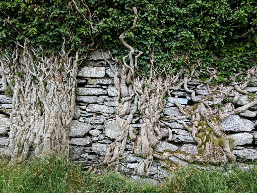 Ballycarberry Castle