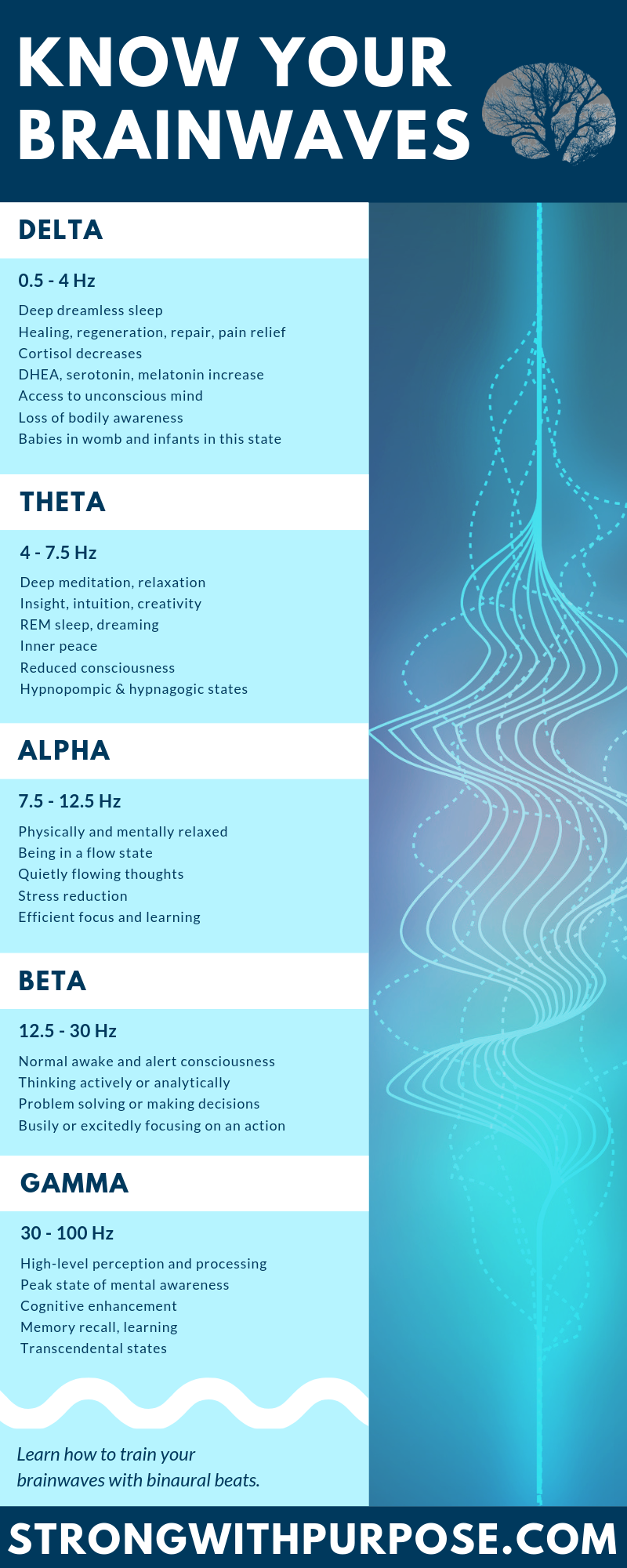 Know Your Brainwaves Infographic Strong With Purpose 
