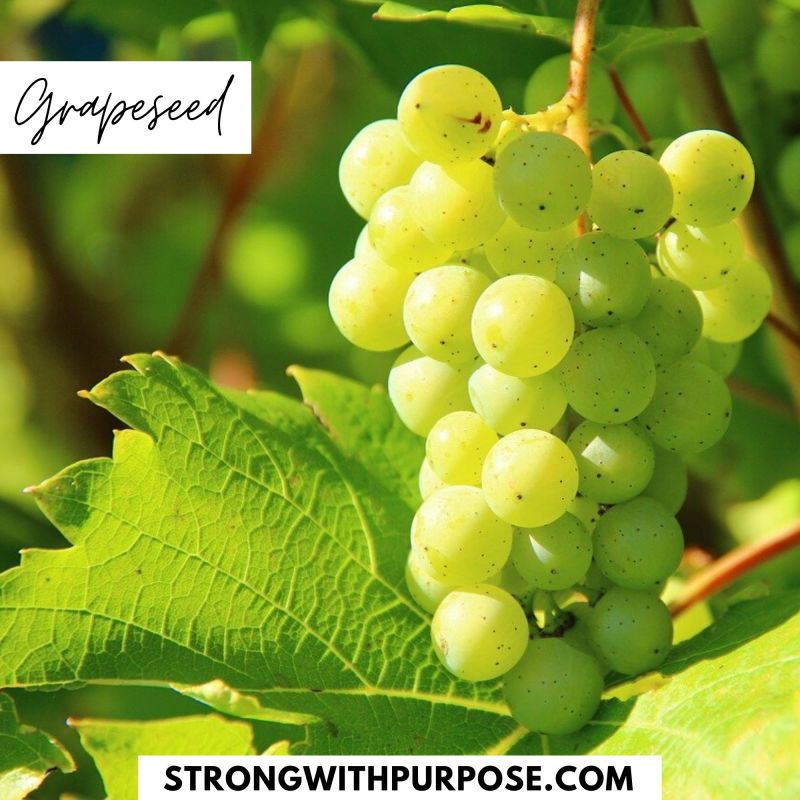 Grapeseed - 5 Natural Remedies to Improve Your Eye Health - Strong with Purpose