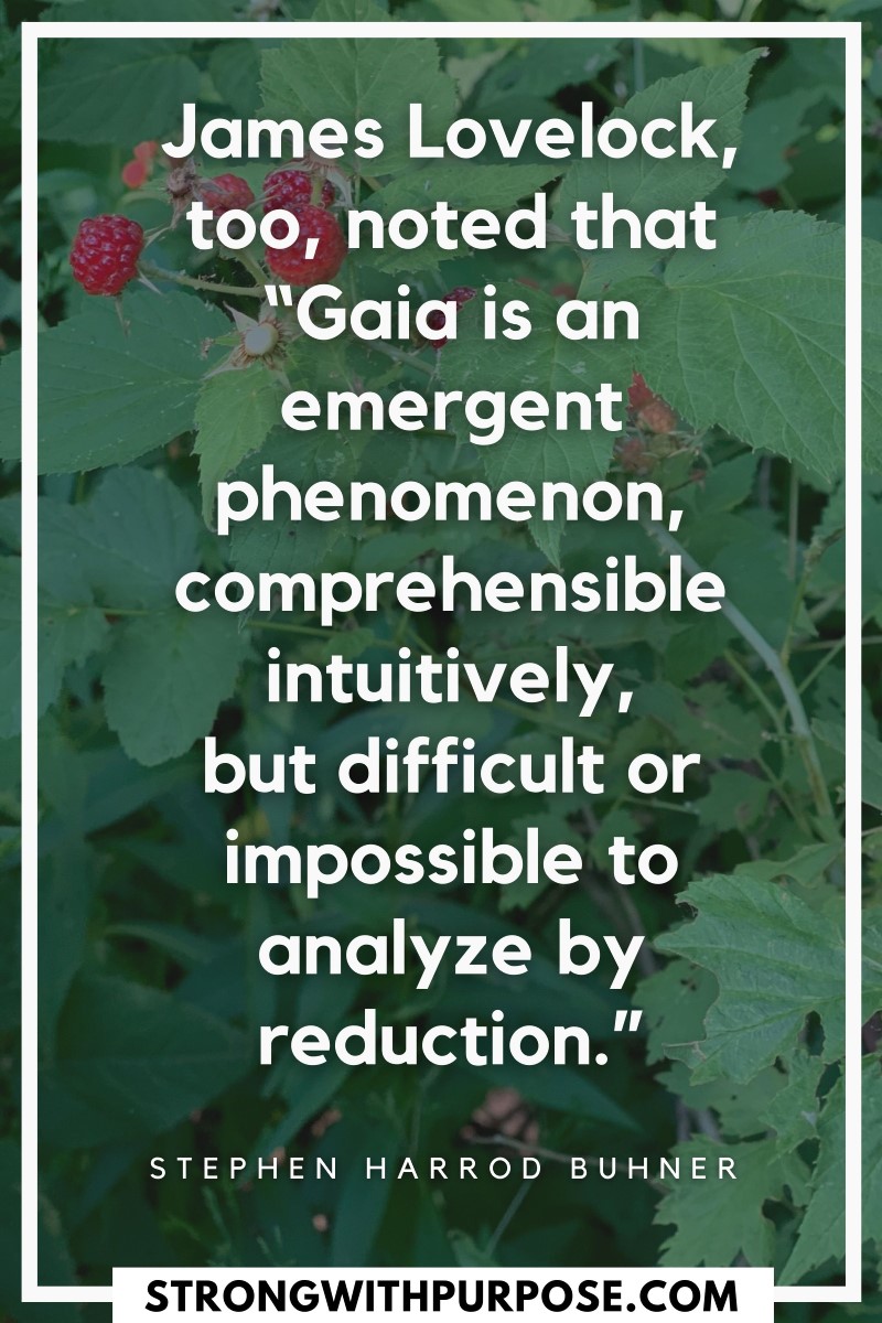 Gaia is an emergent phenomenon, comprehensible intuitively, but difficult or impossible to analyze by reduction - Strong with Purpose