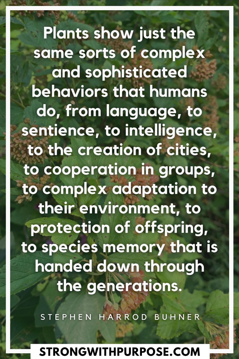 Plants show just the same sorts of complex and sophisticated behaviors that humans do, from language, to sentience, to intelligence - Strong with Purpose