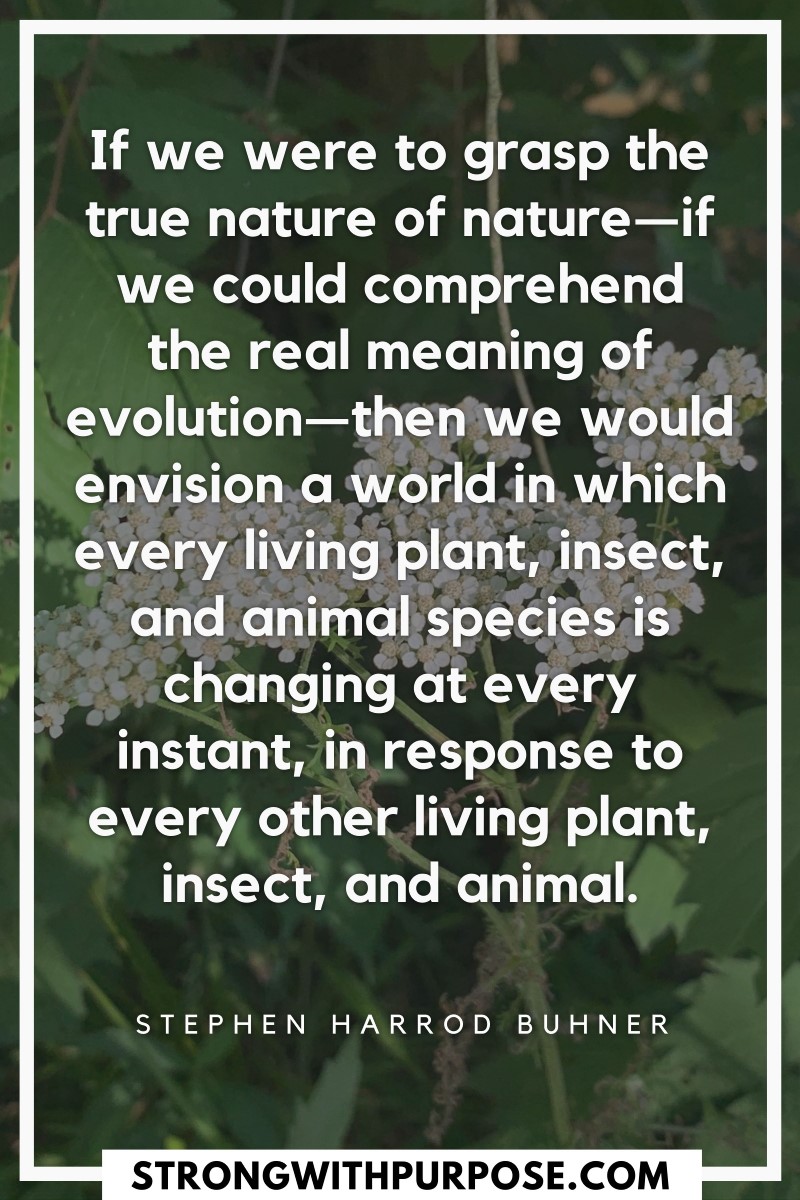 We would envision a world in which every living plant, insect, and animal species is changing at every instant, in response to every other living - Strong with Purpose