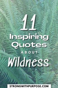 Read more about the article 11 Inspiring Quotes about Wildness